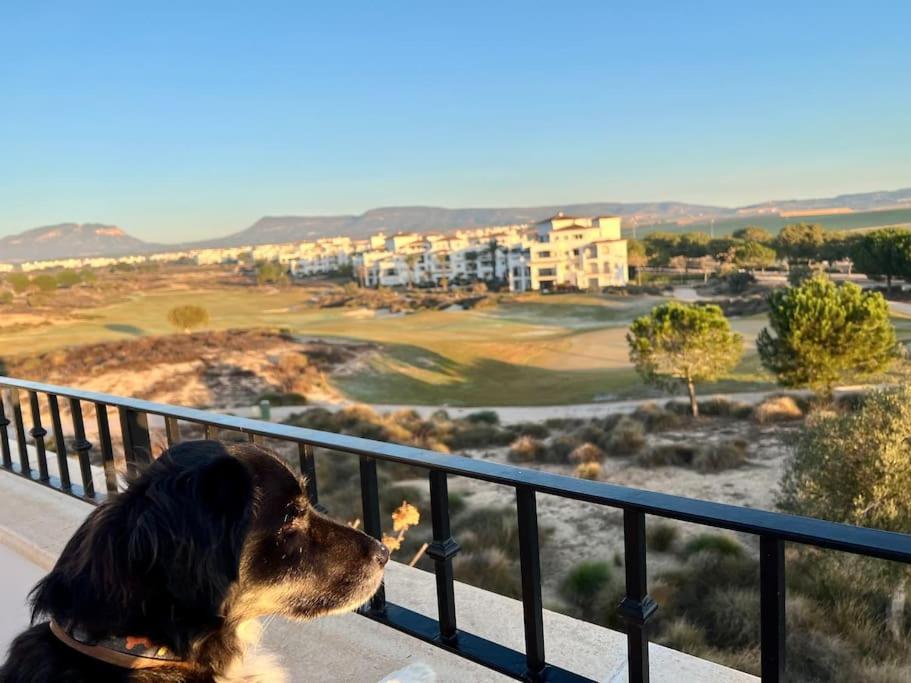 Myrtus Golf Apartment Murcia Exterior photo